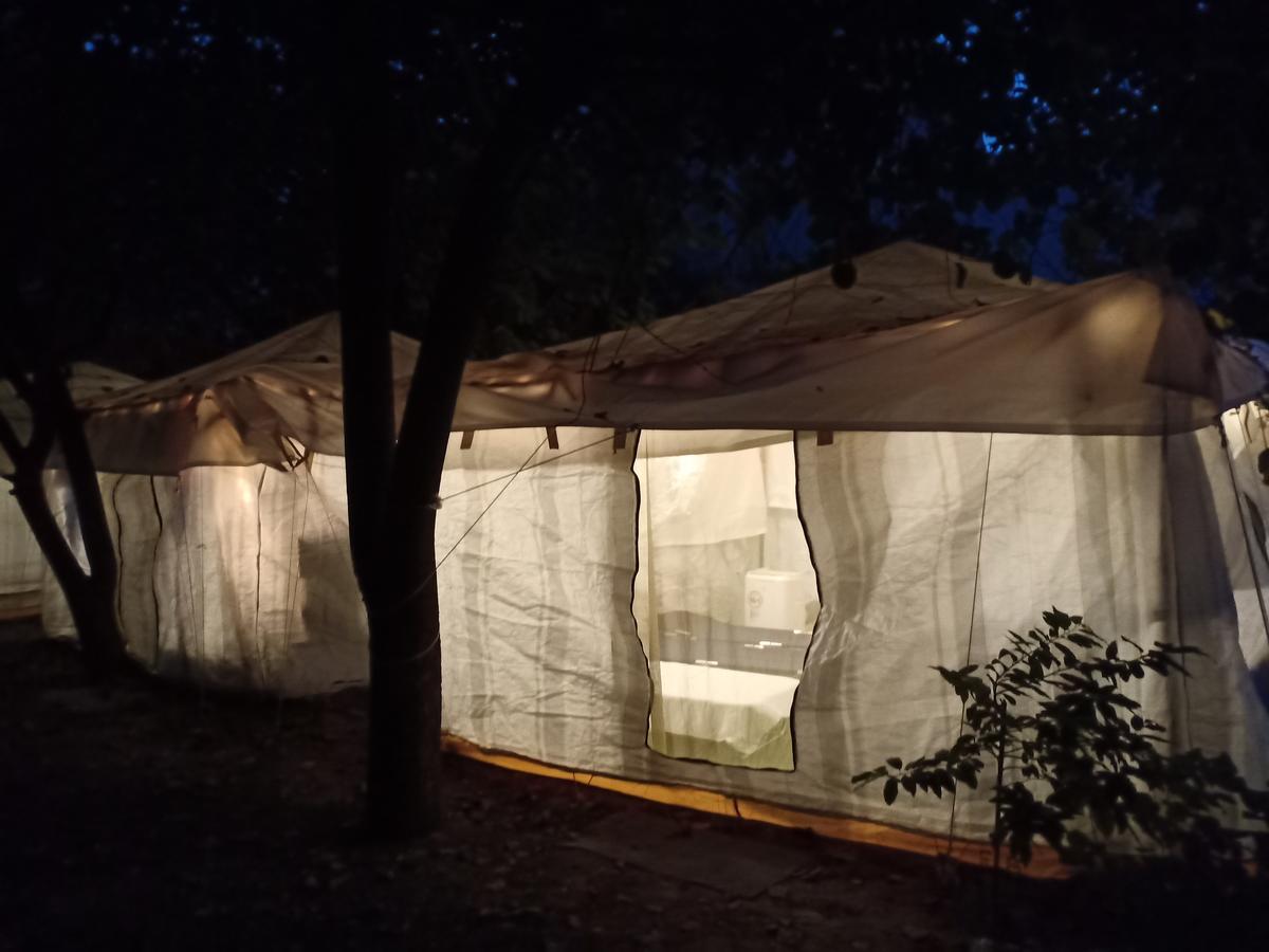 Nature Trail Camps & Homestay Jodhpur  Buitenkant foto