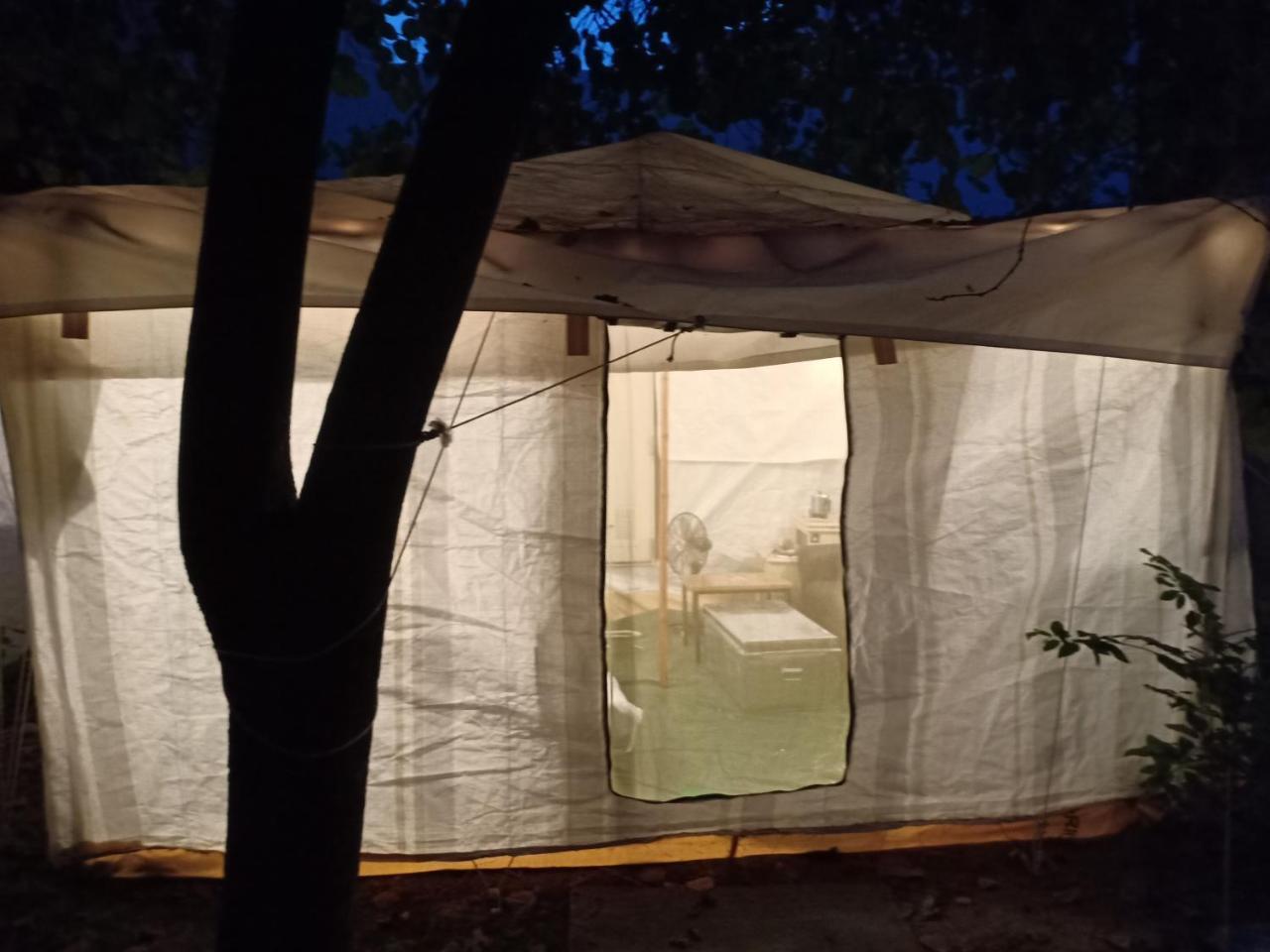 Nature Trail Camps & Homestay Jodhpur  Buitenkant foto