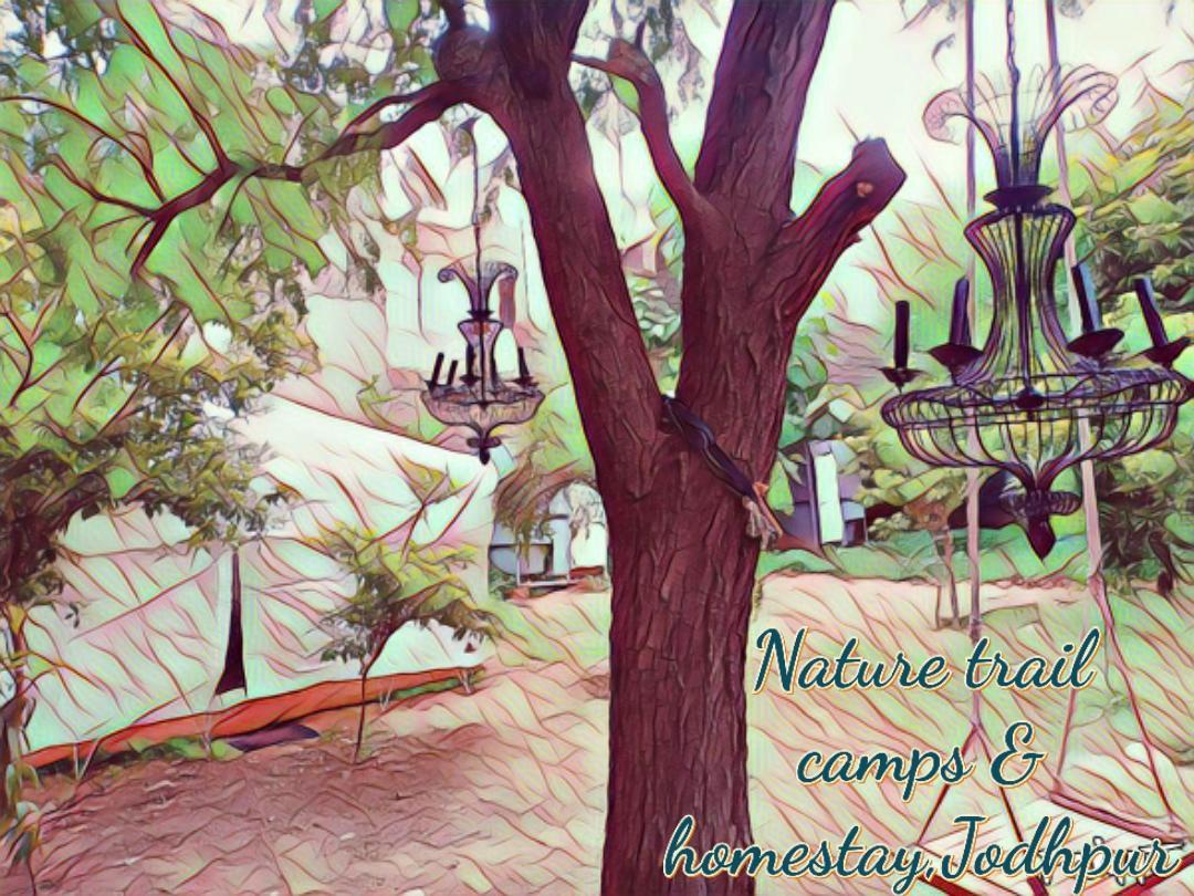 Nature Trail Camps & Homestay Jodhpur  Buitenkant foto