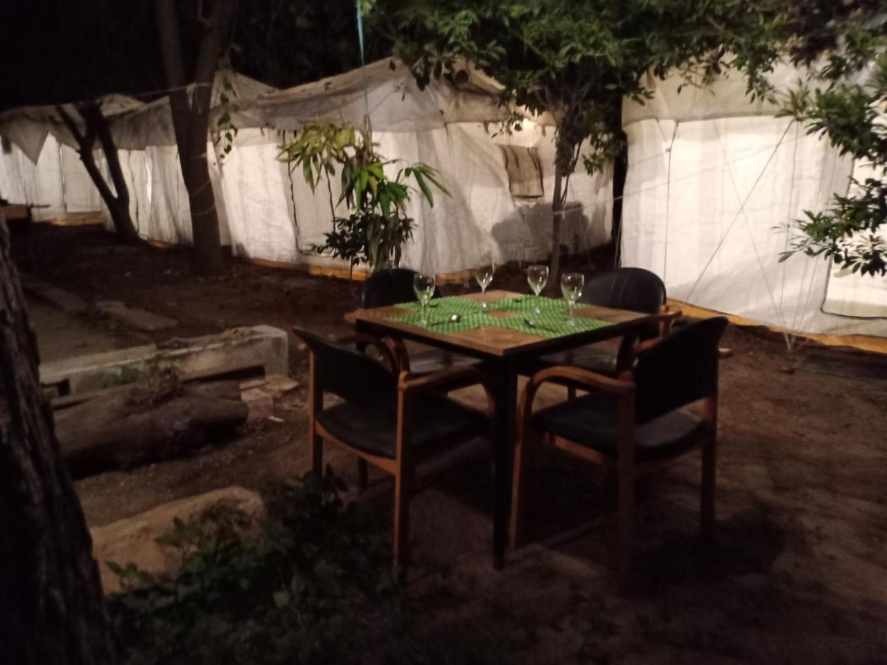 Nature Trail Camps & Homestay Jodhpur  Buitenkant foto